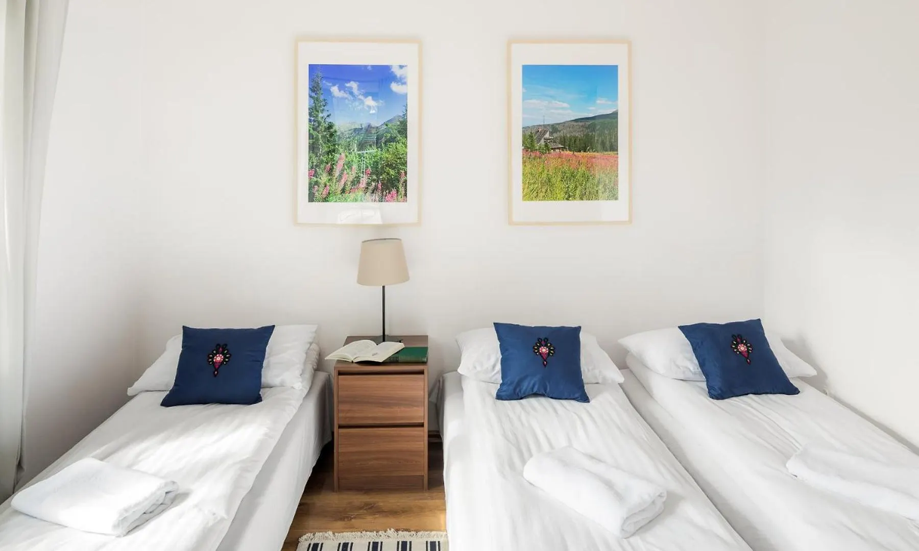 Large Apartment In Centre Of Zakopane By Rent Like Home